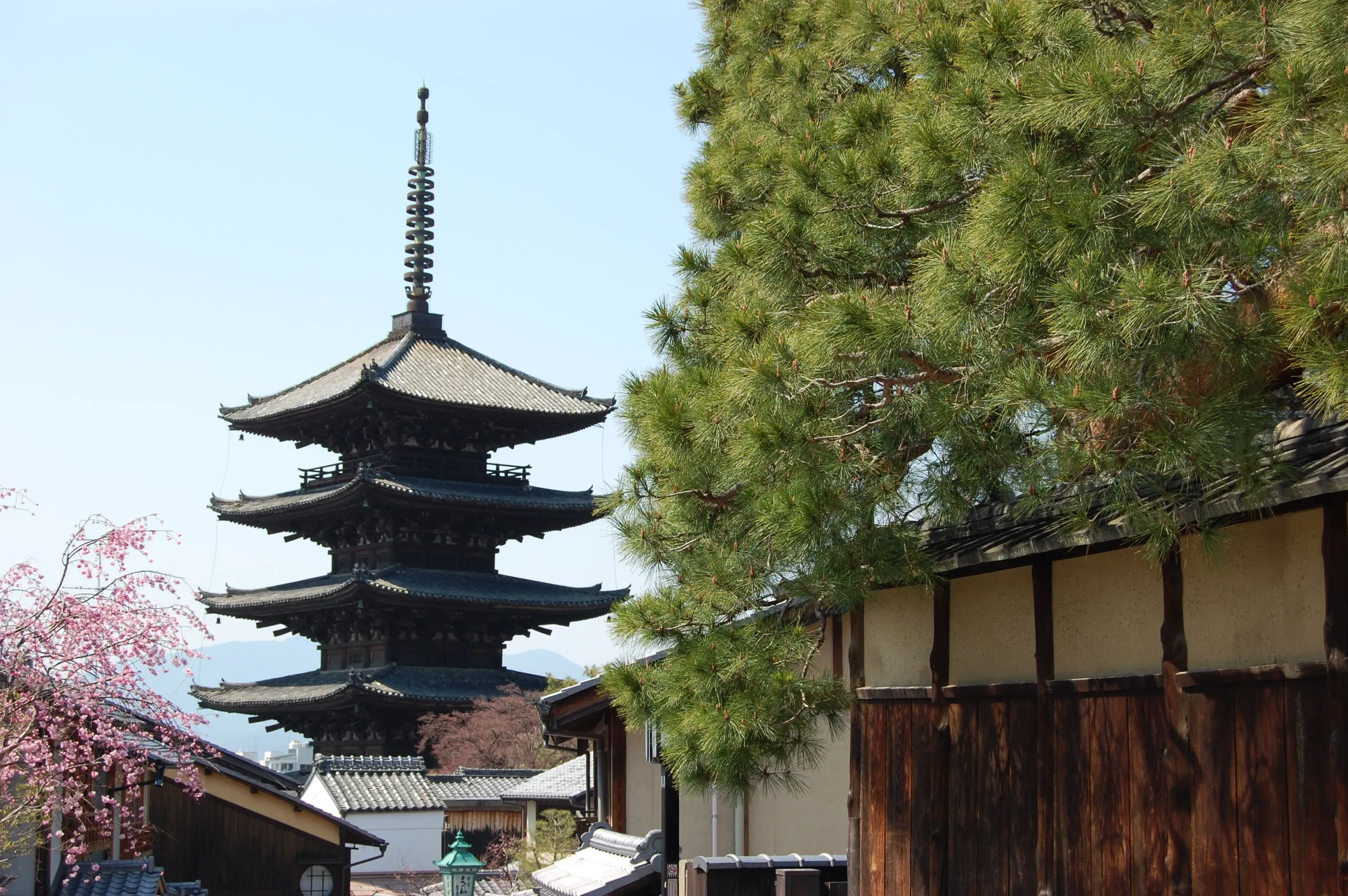 The Yasaka pagoda rising above the tiled roofs and pines of a quiet Kyoto lane, cherry blossom in the foreground